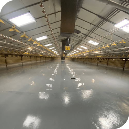 Coating vloeren voor agrarische sector