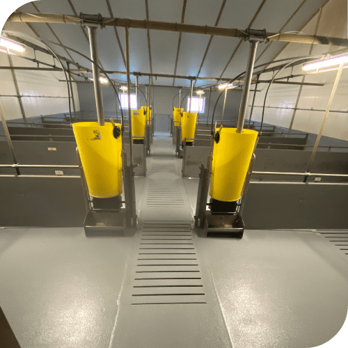 Epoxy coating varkenshouderij