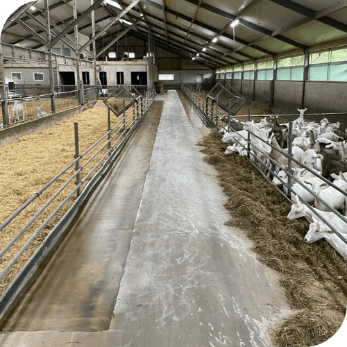 Geitenhouderij Vloercoating