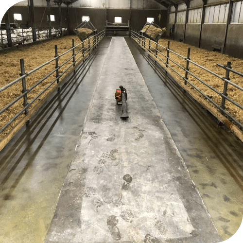 Vloercoating voor geitenstal